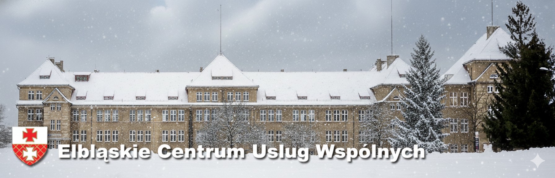 Elbląskie Centrum Usług Wspólnych